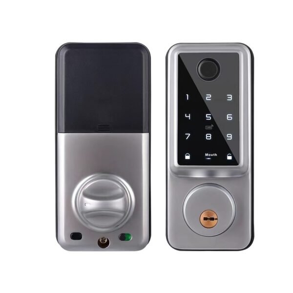 Graffiti Wifi Smart Door Lock Remote Fingerprint Password - Image 3