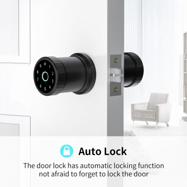 Smart Lock Fingerprint Office Apartment Spherical - Image 4